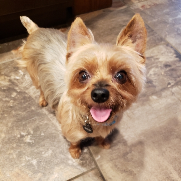 Meet your Posher, Shelly - Picture 10 of 16